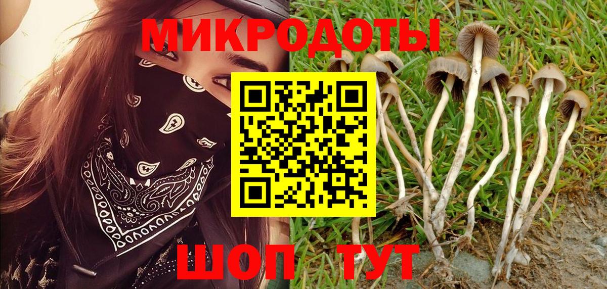 Богородицк  Галлюциногенные грибы Cubensis  Вход с VPN  дарнет шоп  Псилоцибиновые грибы MAGIC MUSHROOMS 